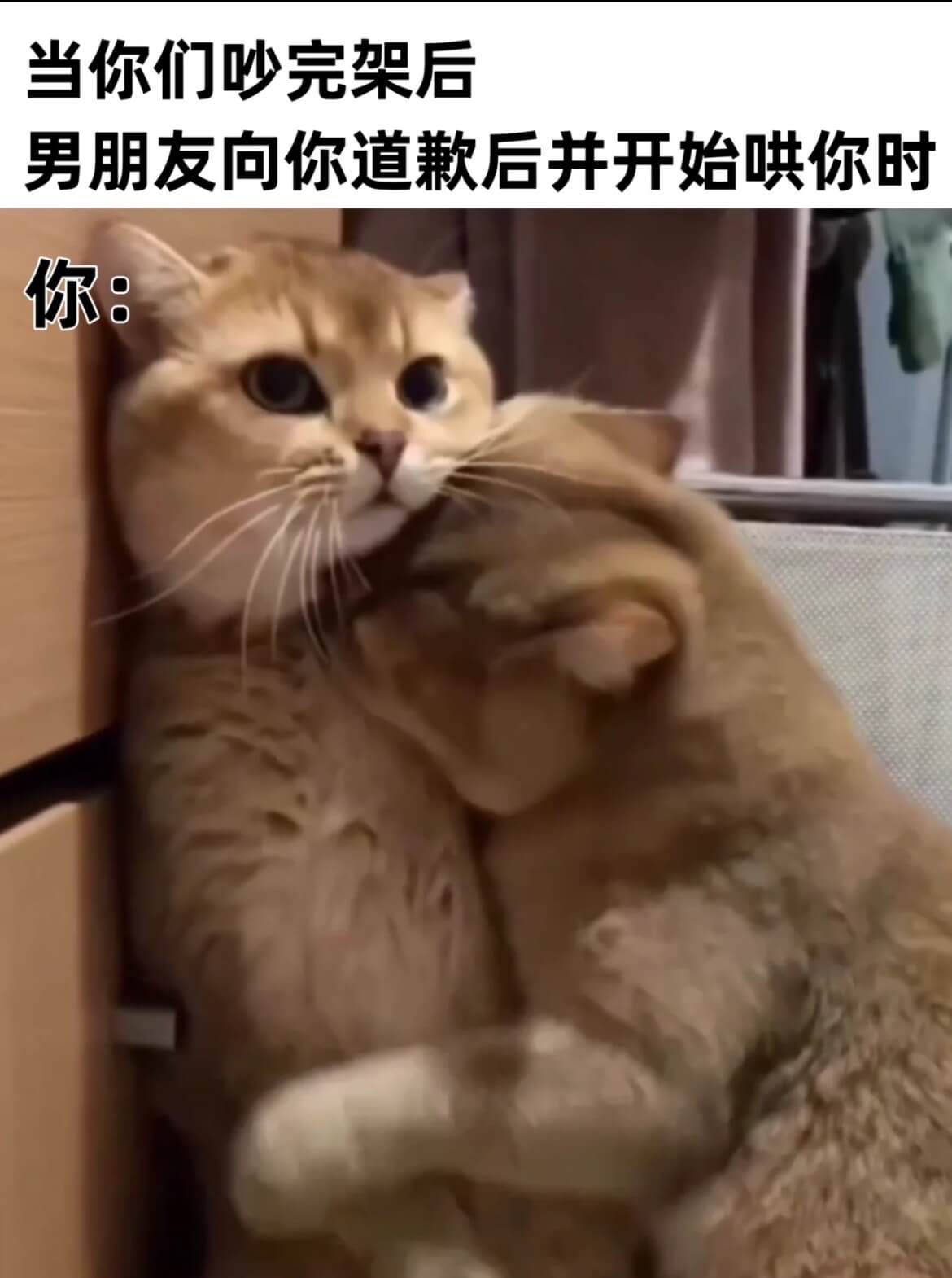 当你们吵完架后男朋友向你道歉后并开始哄你时你：