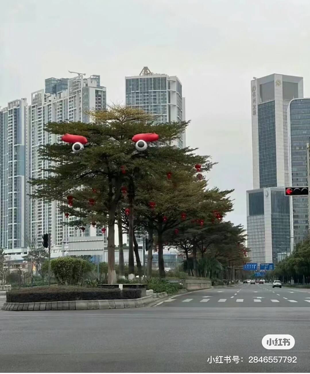 小红书小红书号：2846557792