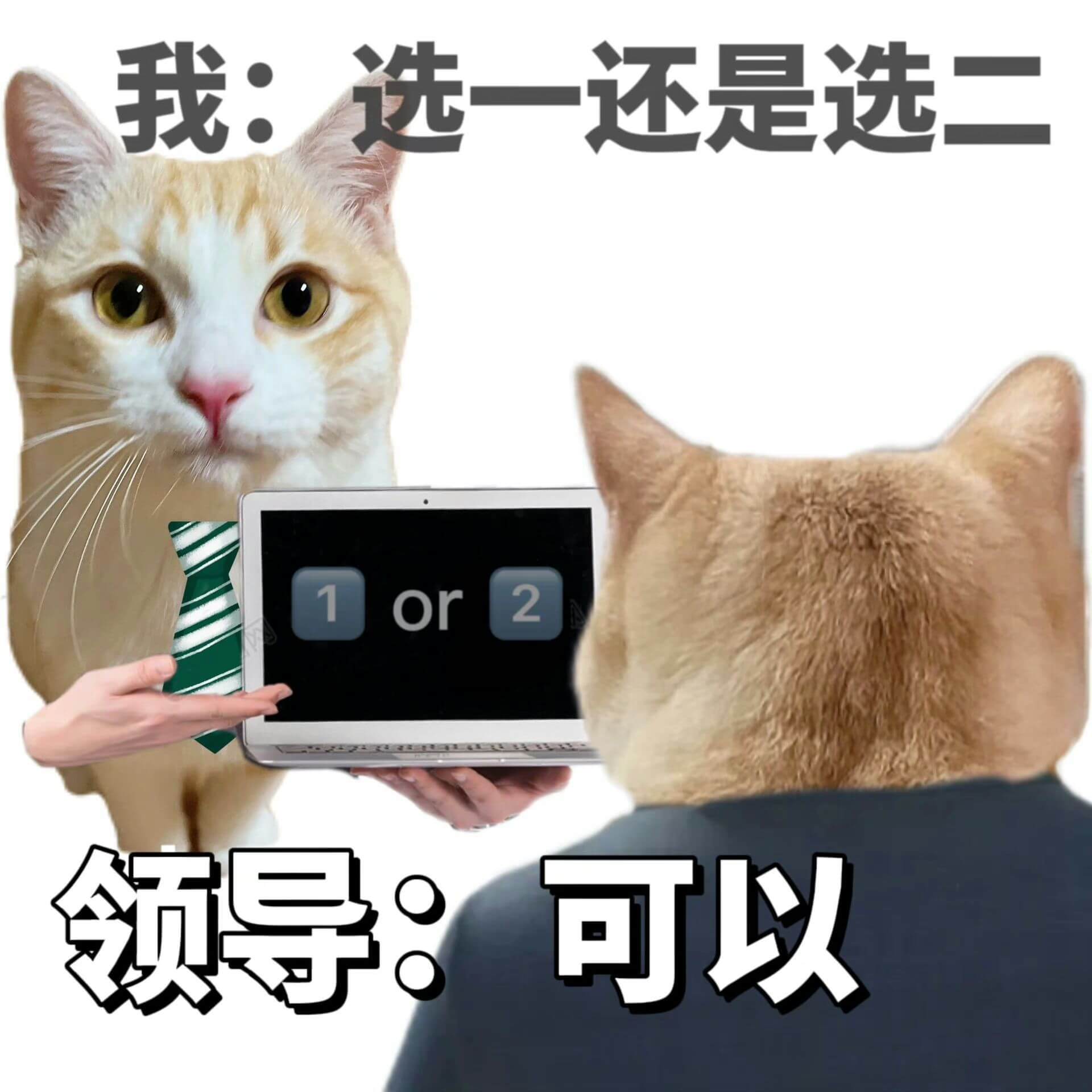 我：选一还是选二or领导：可以