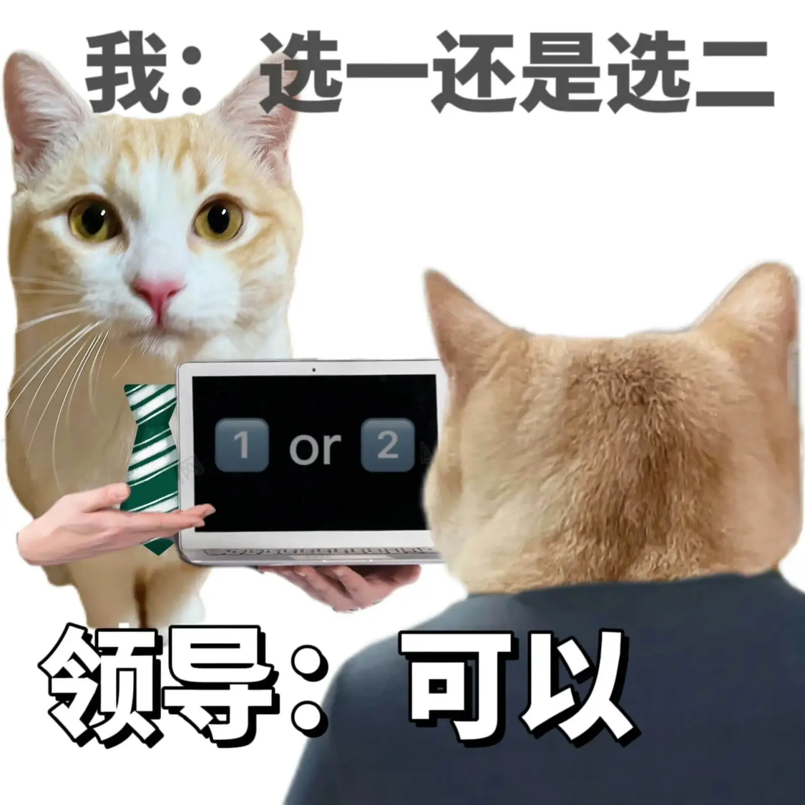 我：选一还是选二or领导：可以
