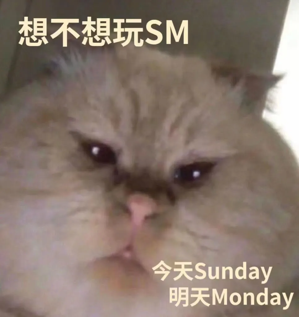 想不想玩SM今天sunday明天Monday