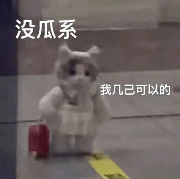 没瓜系我几己可以的