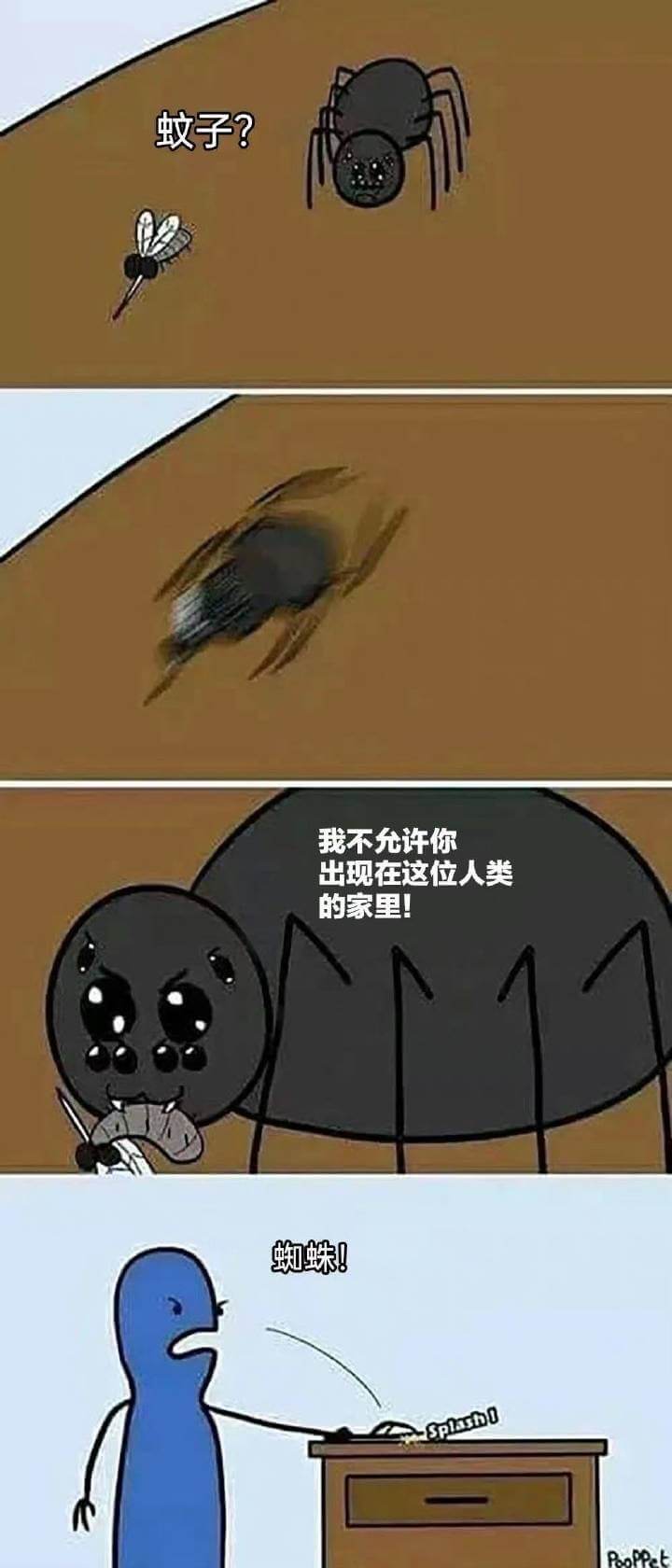 蚊子？我不允许你出现在这位人类的家里！蜘蛛！RoopR