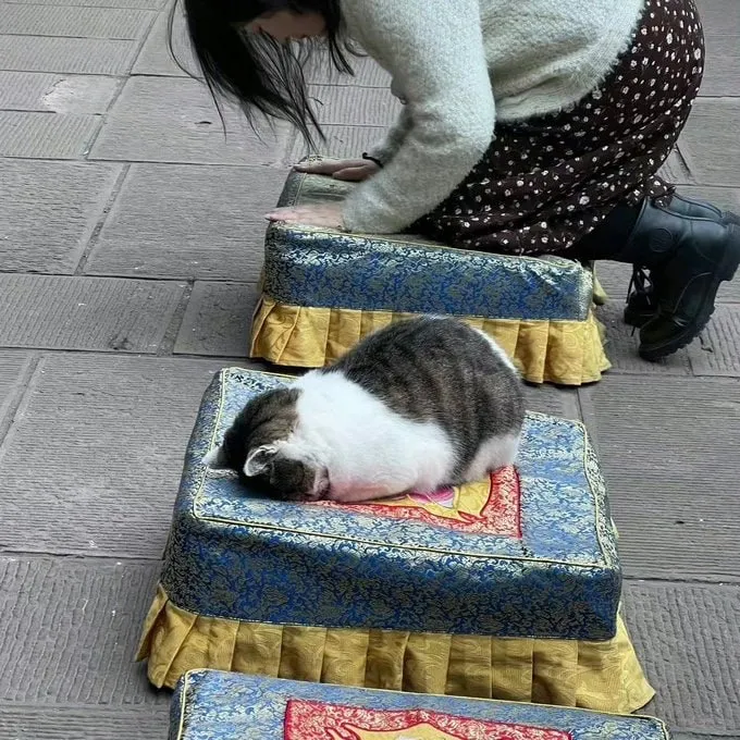 没有不变的承诺，