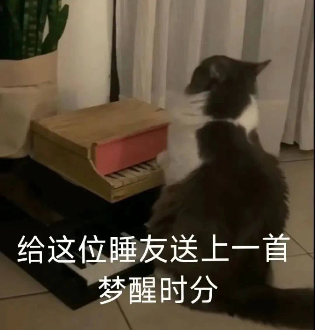 给这位睡友送上一首梦醒时分