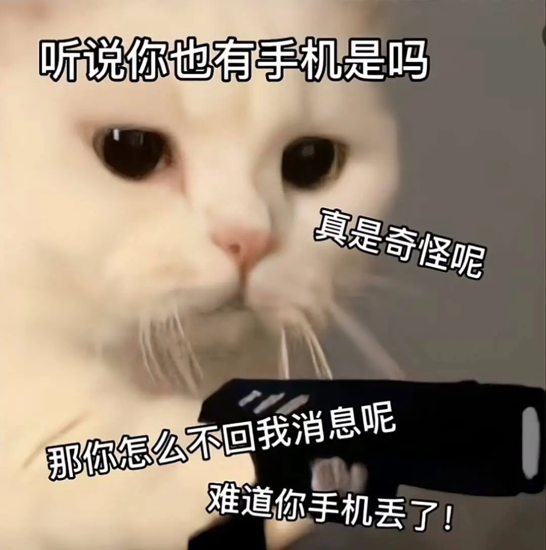 听说你也有手机是吗真是奇怪呢那你怎么不回我消息呢难道你手机丢