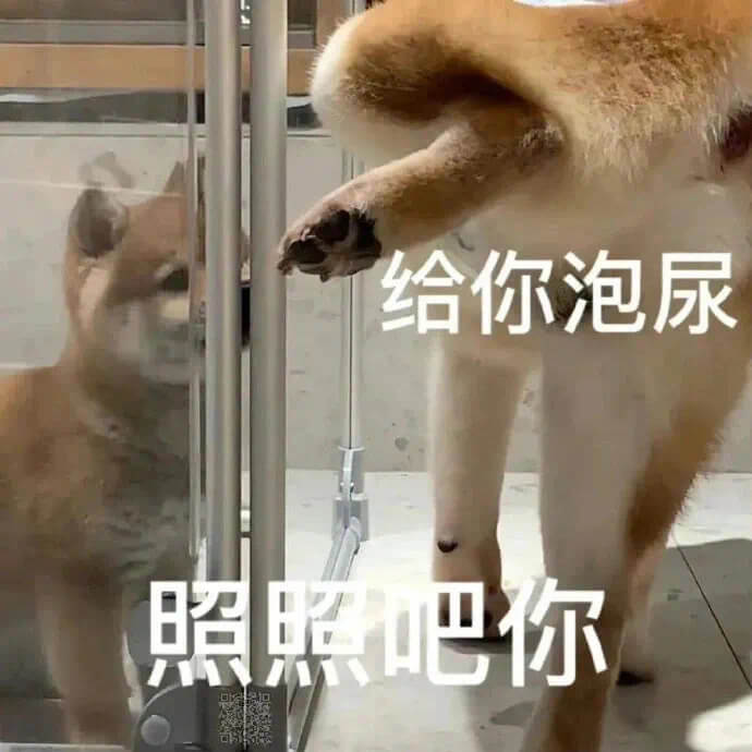 给你泡尿照照吧你