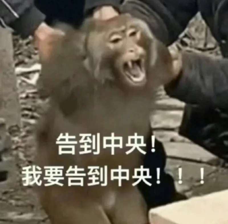 告到中央我要告到中央！