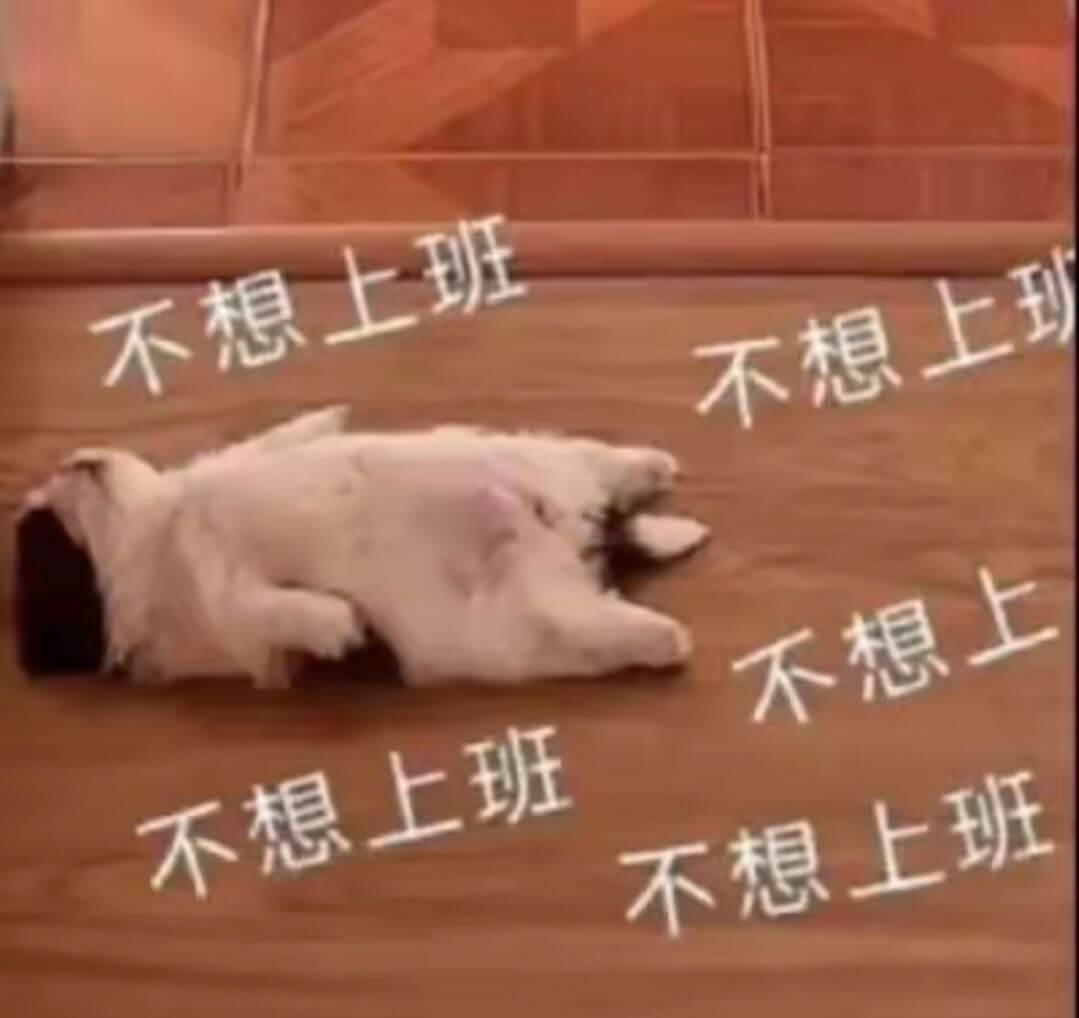 不想上班不想上不想上不想上班不想上班
