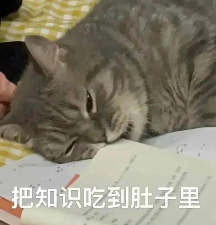 把知识吃到肚子里