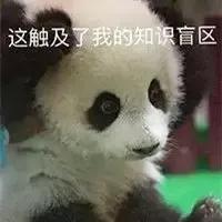 这触及了我的知识盲区