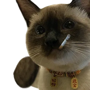 你不想和我聊就算了，“只下载了朋友圈没下载微信”这种话你都讲