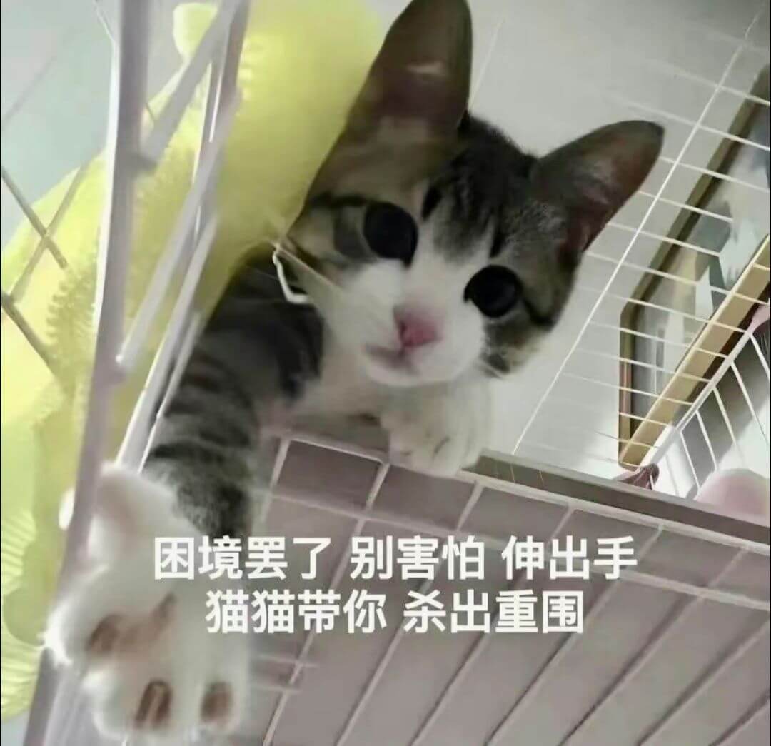 困境罢了别害怕伸出手猫猫带你杀出重围