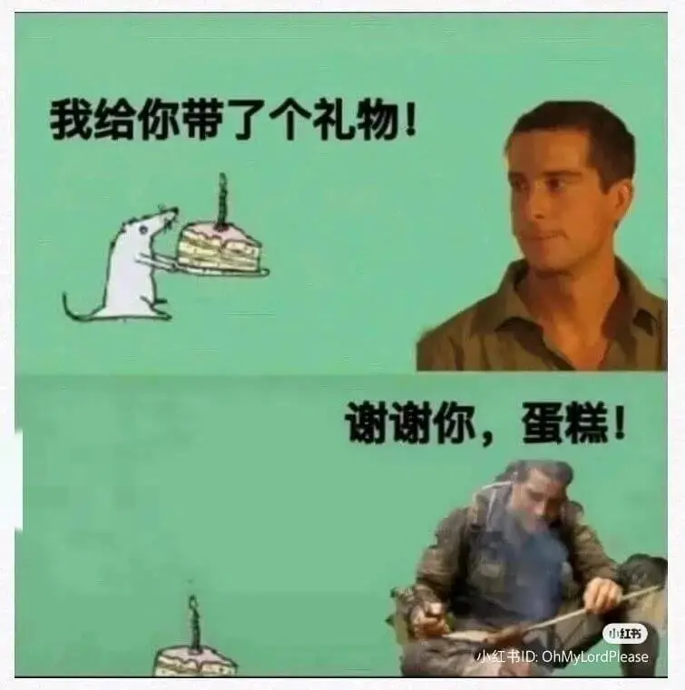我给你带了个礼物！谢谢你，蛋糕！小红书红书ID:OhMyLo