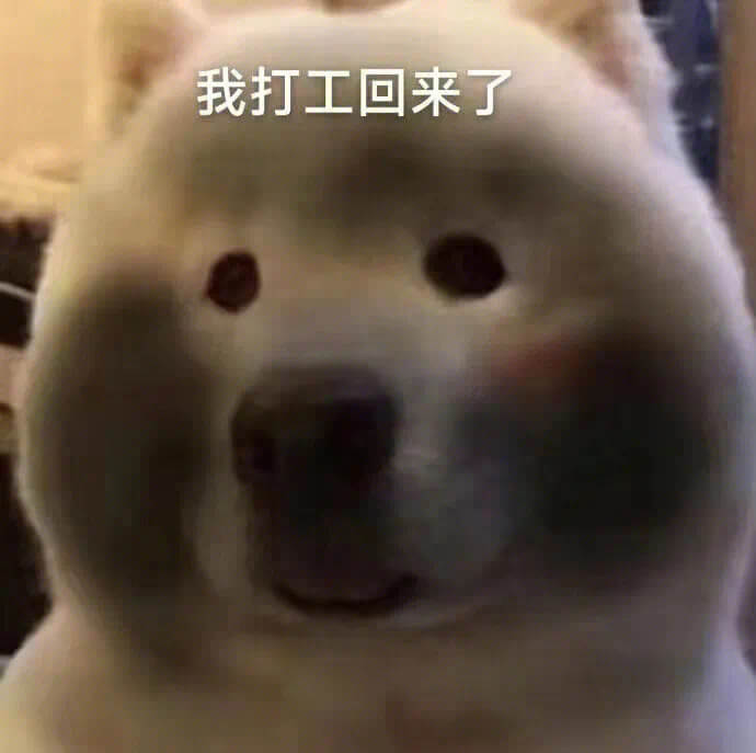 我打工回来了
