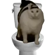 送大家一波网上搜刮的猫猫表情包