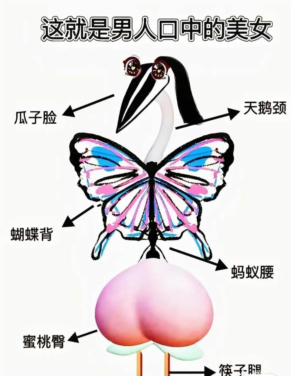 这就是男人口中的美女天鹅颈瓜子脸蝴蝶背蚂蚁腰蜜桃臀筷子腿
