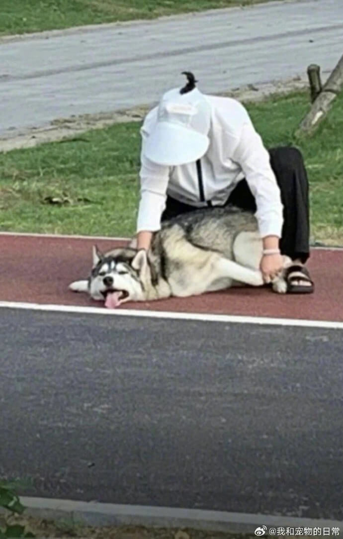 @我和宠物的日常