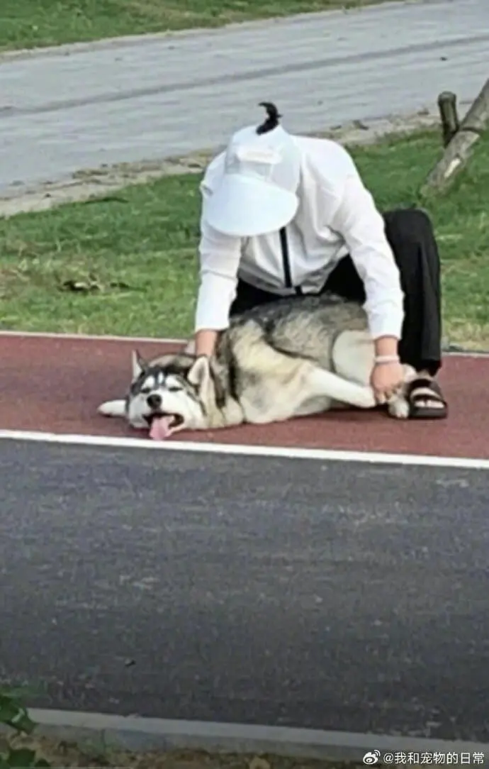 @我和宠物的日常