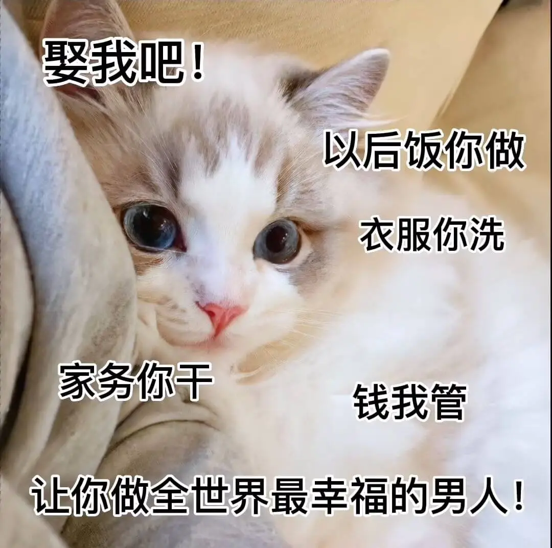 娶我吧！以后饭你做衣服你洗家务你干钱我管让你做全世界最幸福的