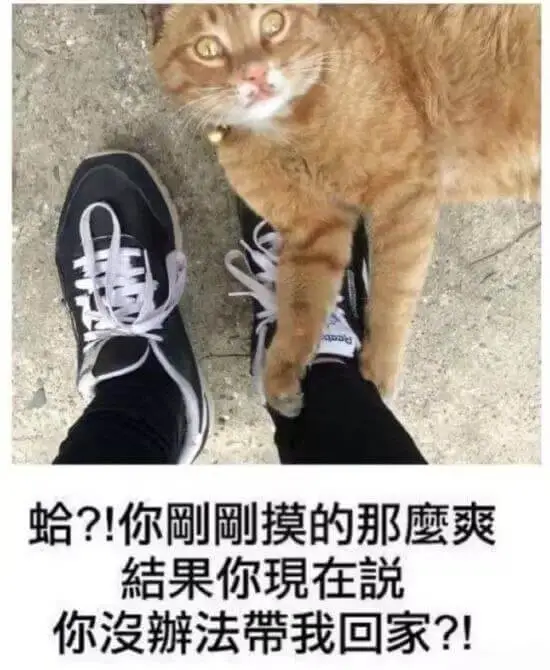 蛤？！你摸的那鹰爽结果你現在説你没法带我回家？！