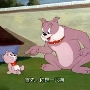 首先。你是只狗