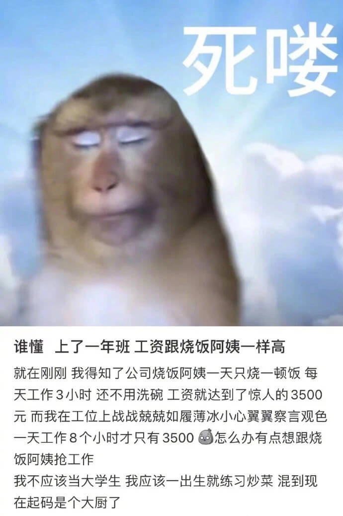 死喽谁懂上了一年班工资跟烧饭阿姨一样高就在刚刚我得知了公司烧