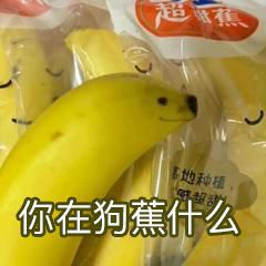 超高地种植你在狗蕉什么