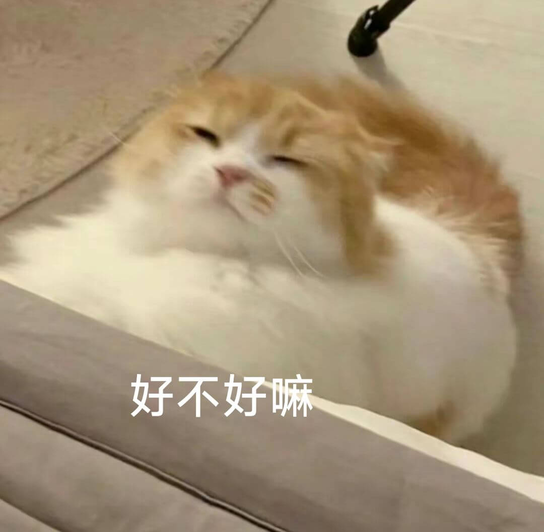 好不好嘛