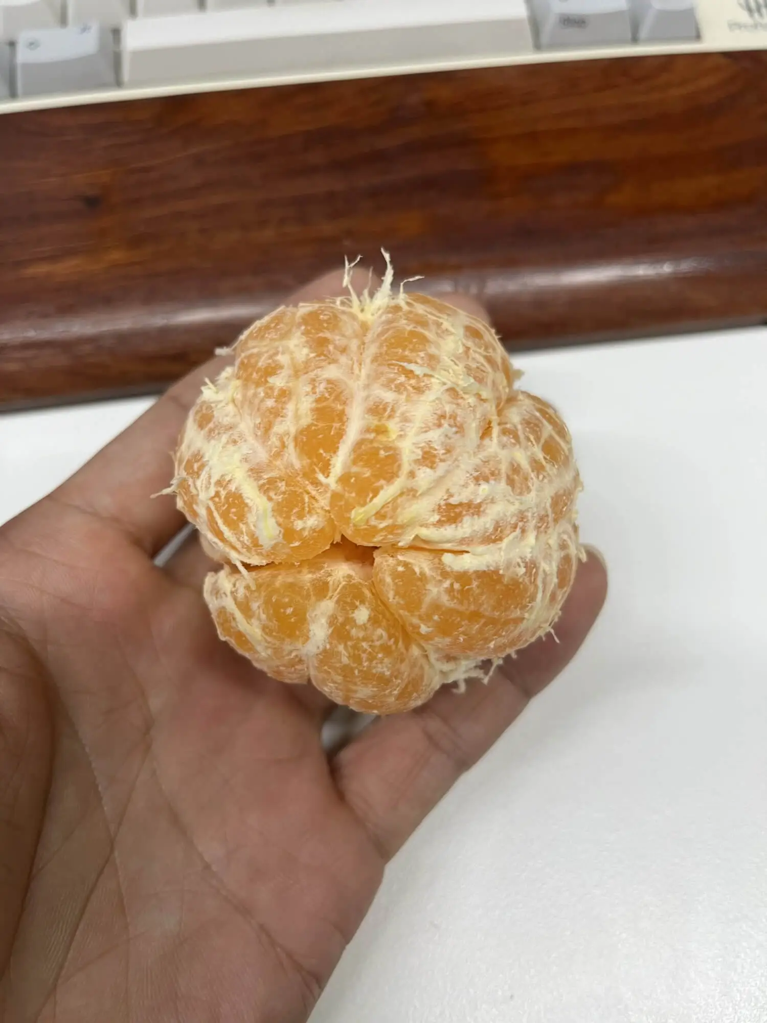 我也穿始祖鸟了