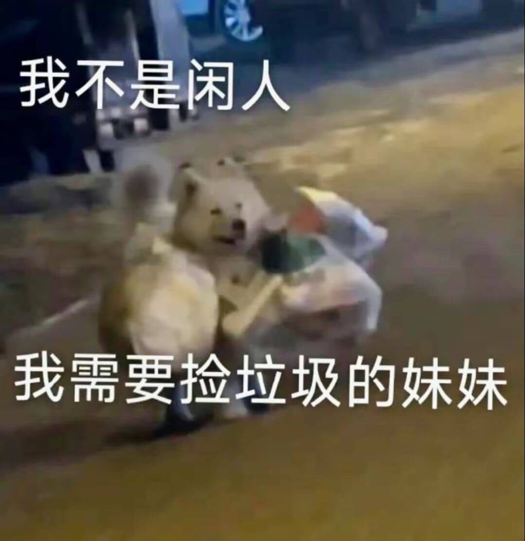 我不是闲人，我需要捡垃圾的妹妹。