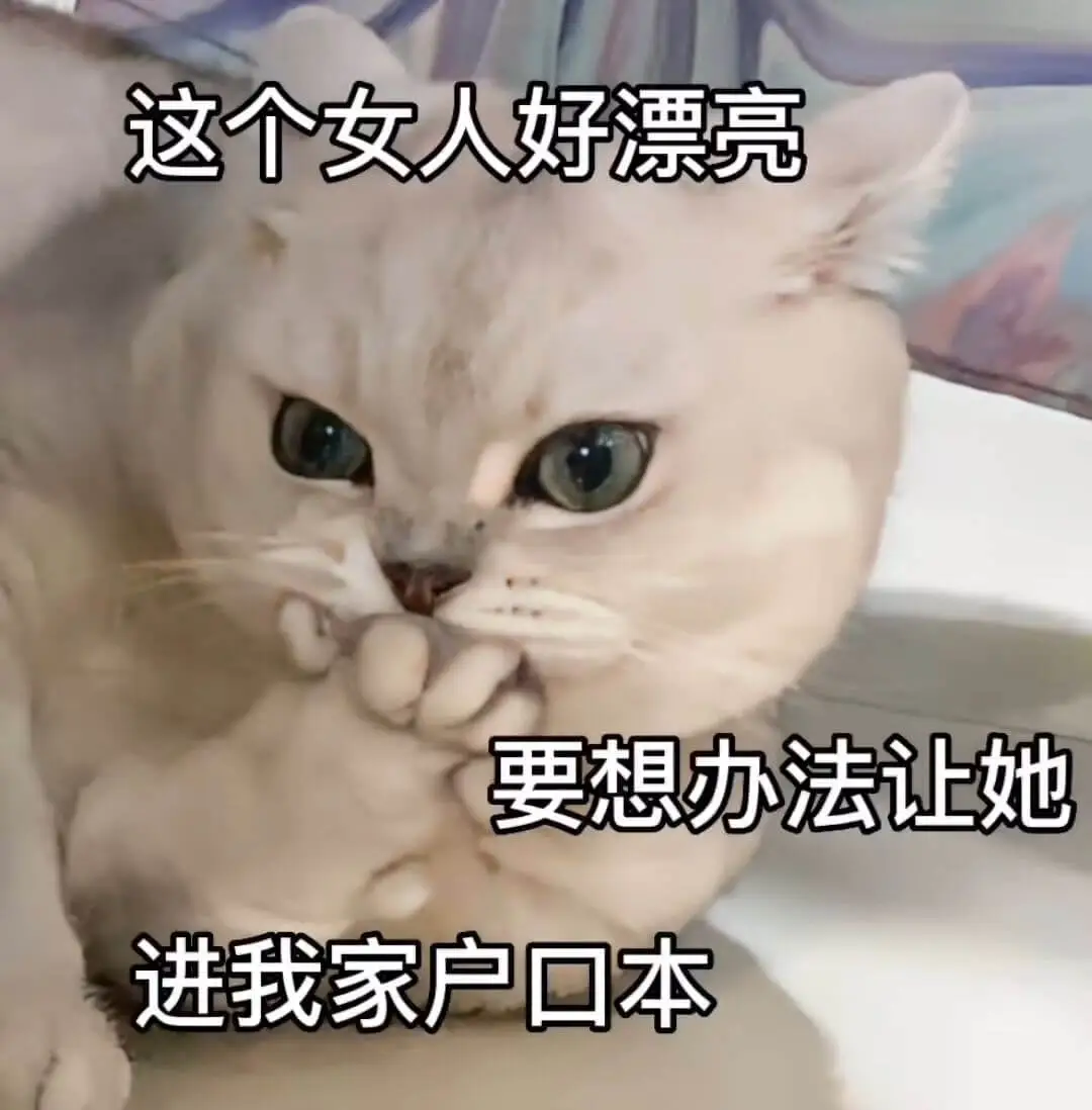 这个女人好漂亮要想办法让她进我家户口本