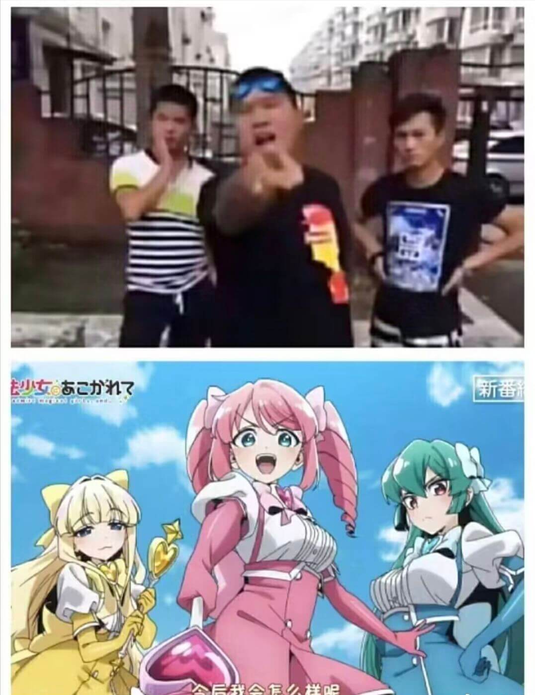 秒少女了新番会么样呢