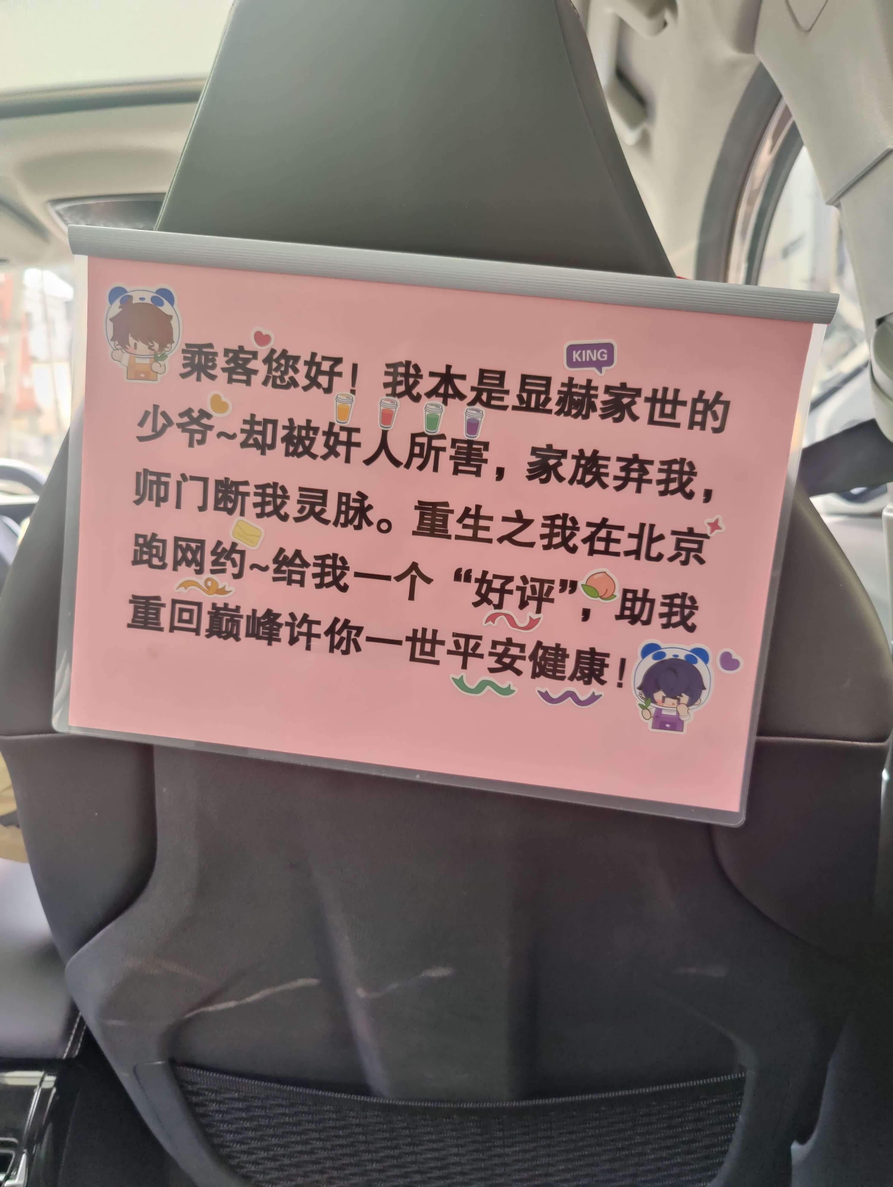 乘客您好！我本是显赫家世的KING少爷～却被好人所害，家族弃