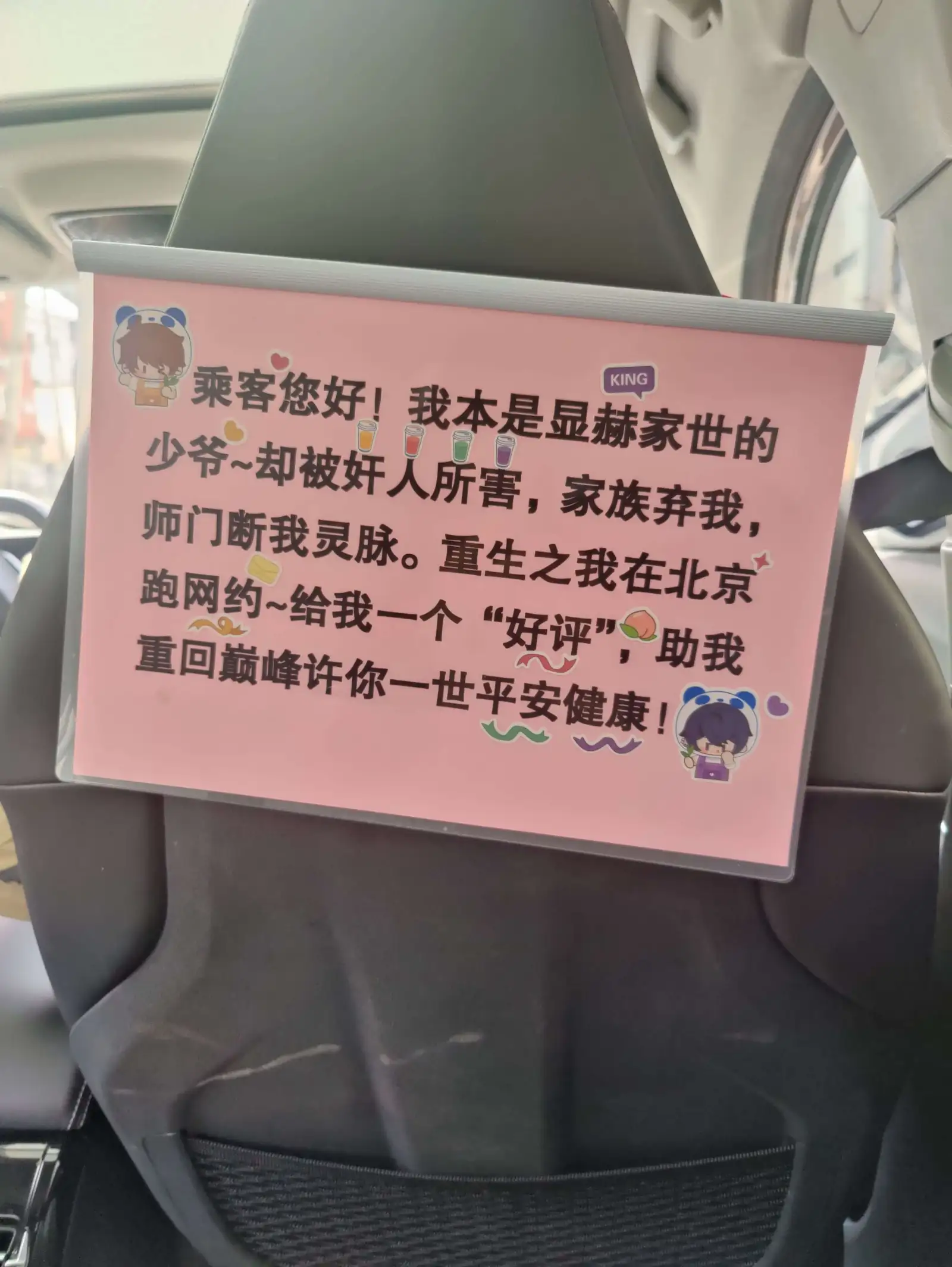 乘客您好！我本是显赫家世的KING少爷～却被好人所害，家族弃