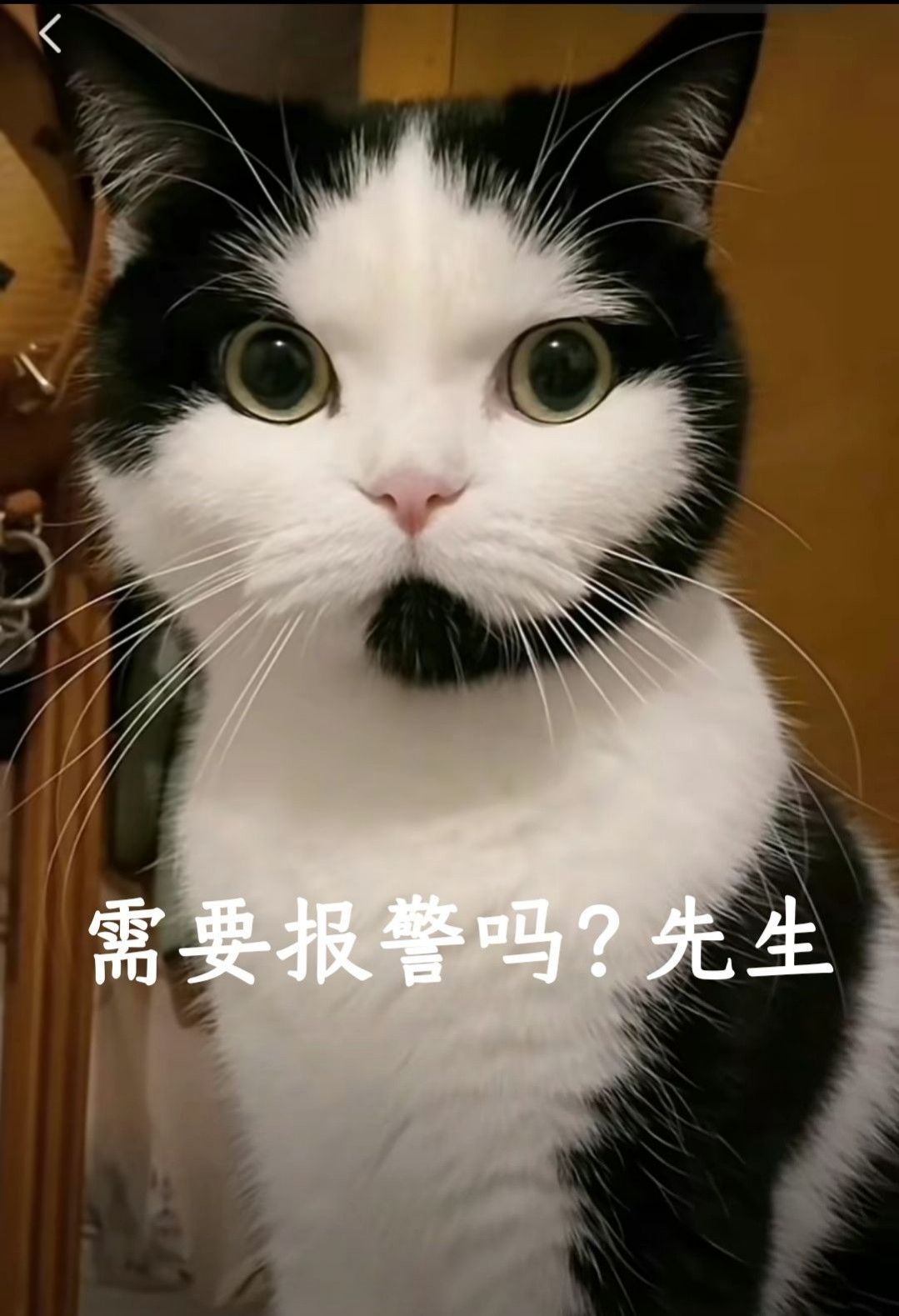 需要报警吗？先生