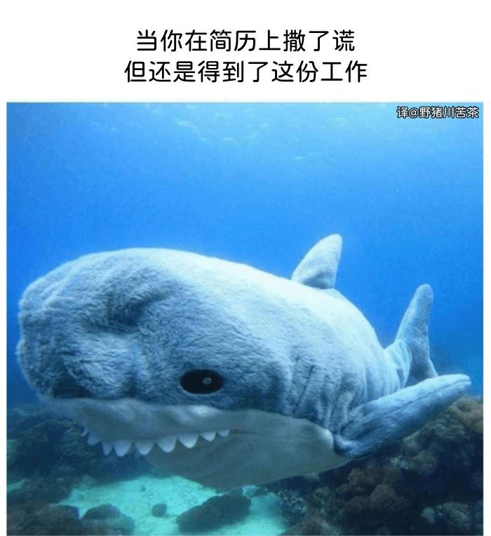 当你在简历上撒了谎但还是得到了这份工作译@野猪川苦茶