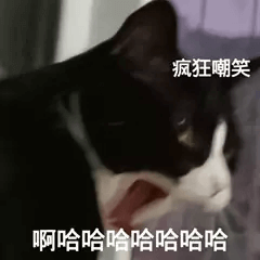 疯狂嘲笑啊哈哈哈哈哈哈哈