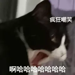 疯狂嘲笑啊哈哈哈哈哈哈哈