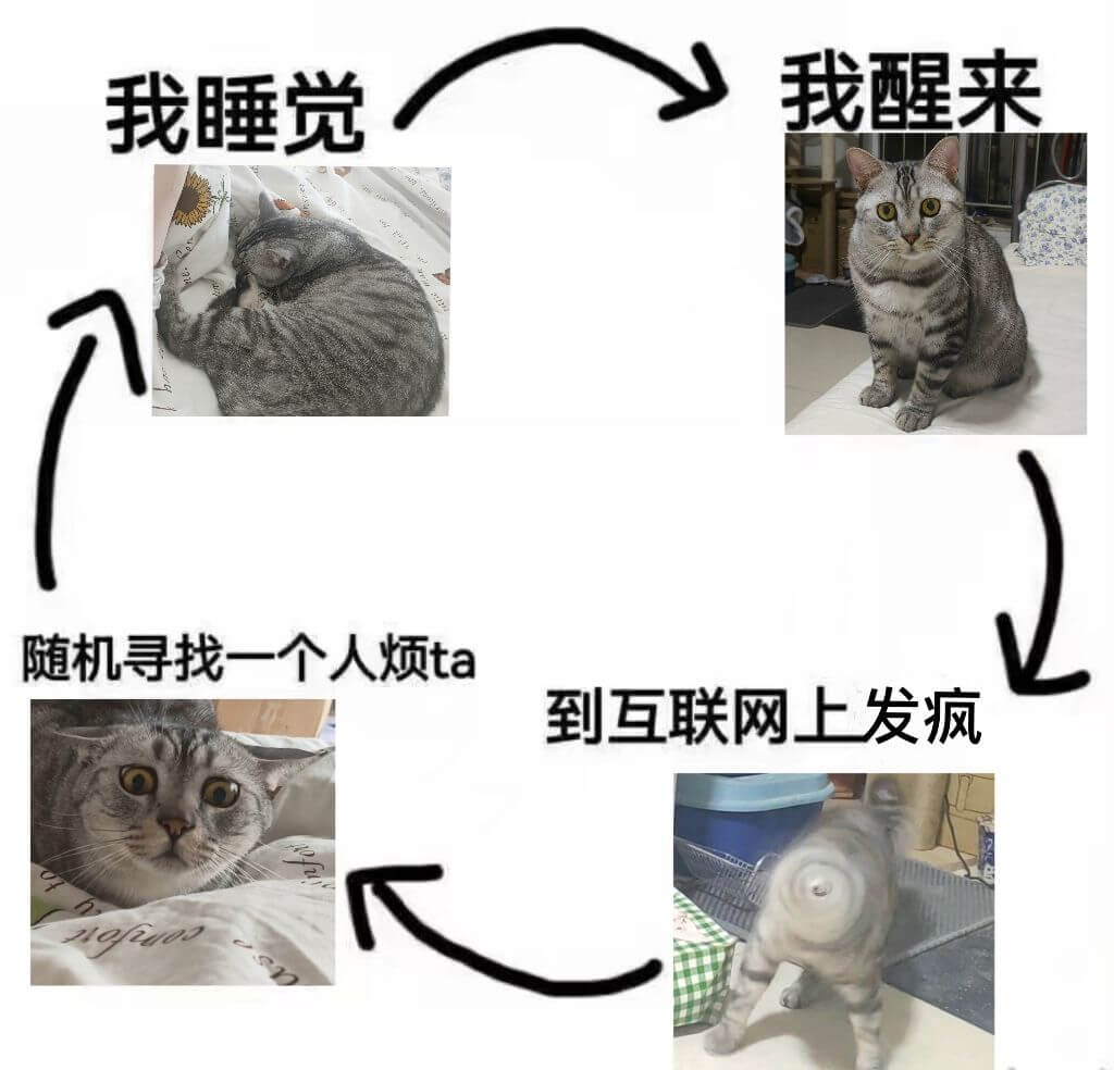 我醒来我睡觉随机寻找一个人烦ta到互联网上发疯
