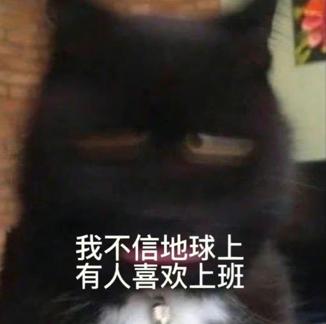 我不信地球上有人喜欢上班