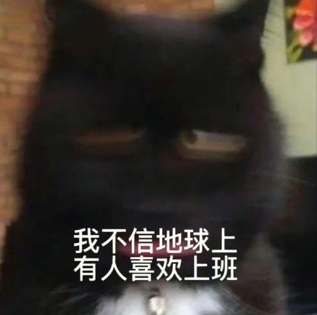 我不信地球上有人喜欢上班