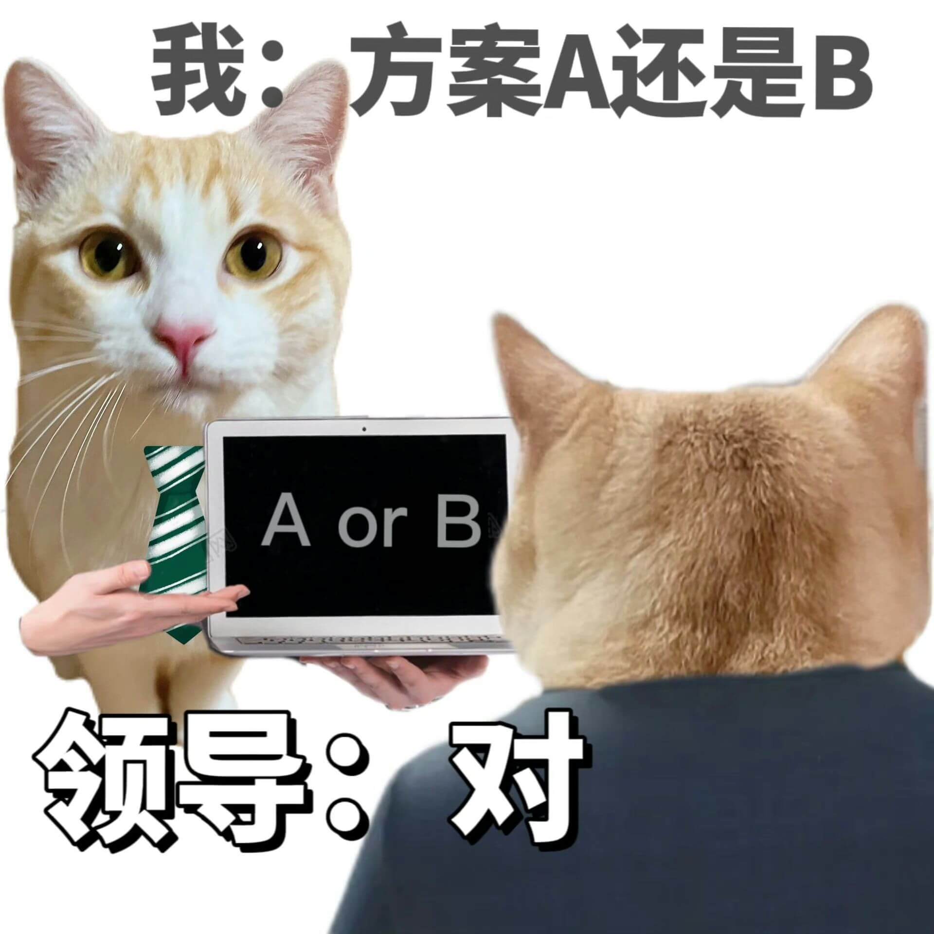 我：方案A还是BAorB领导：对