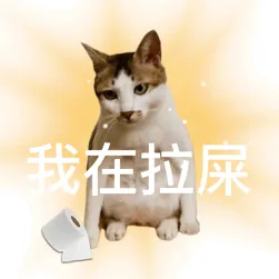 送大家一波网上搜刮的猫猫表情包