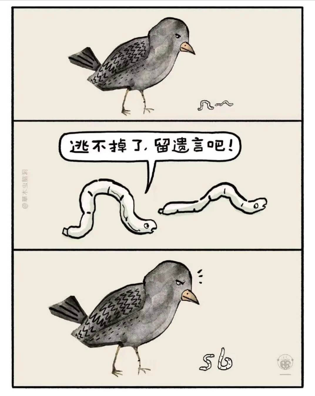 逃不掉了，留遗言吧！