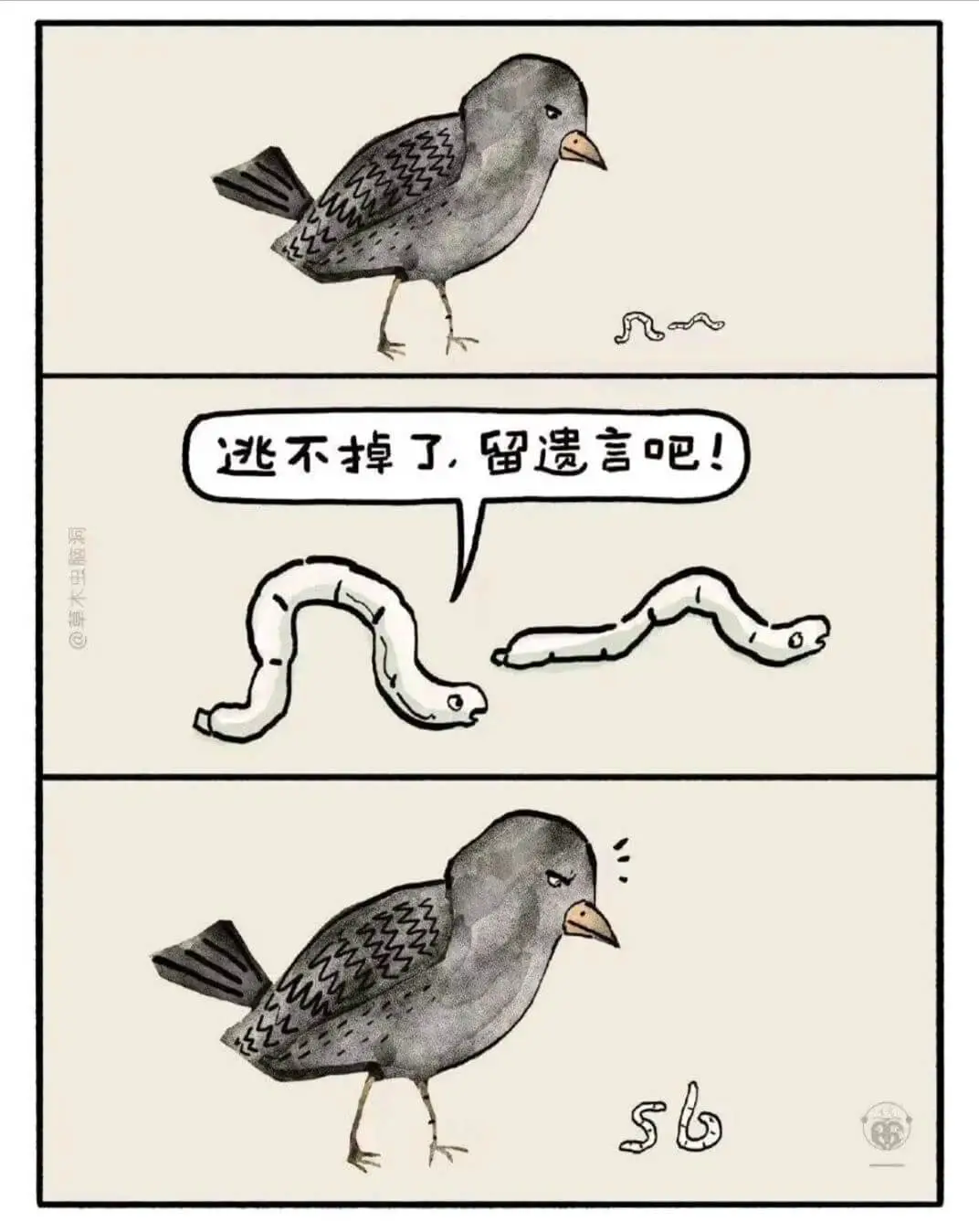 逃不掉了，留遗言吧！
