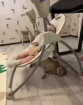 带娃喵