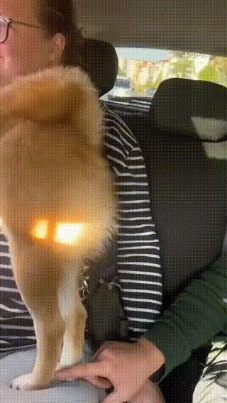梗图