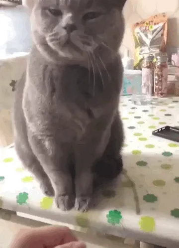 传递快乐