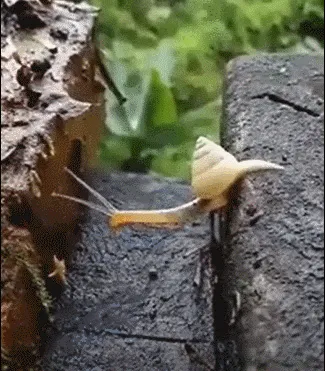 好，努！力！滑壳……